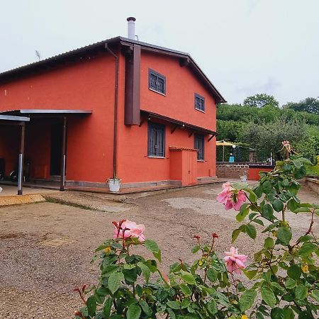 Country House Dolce Nocciola Vignanello Dış mekan fotoğraf