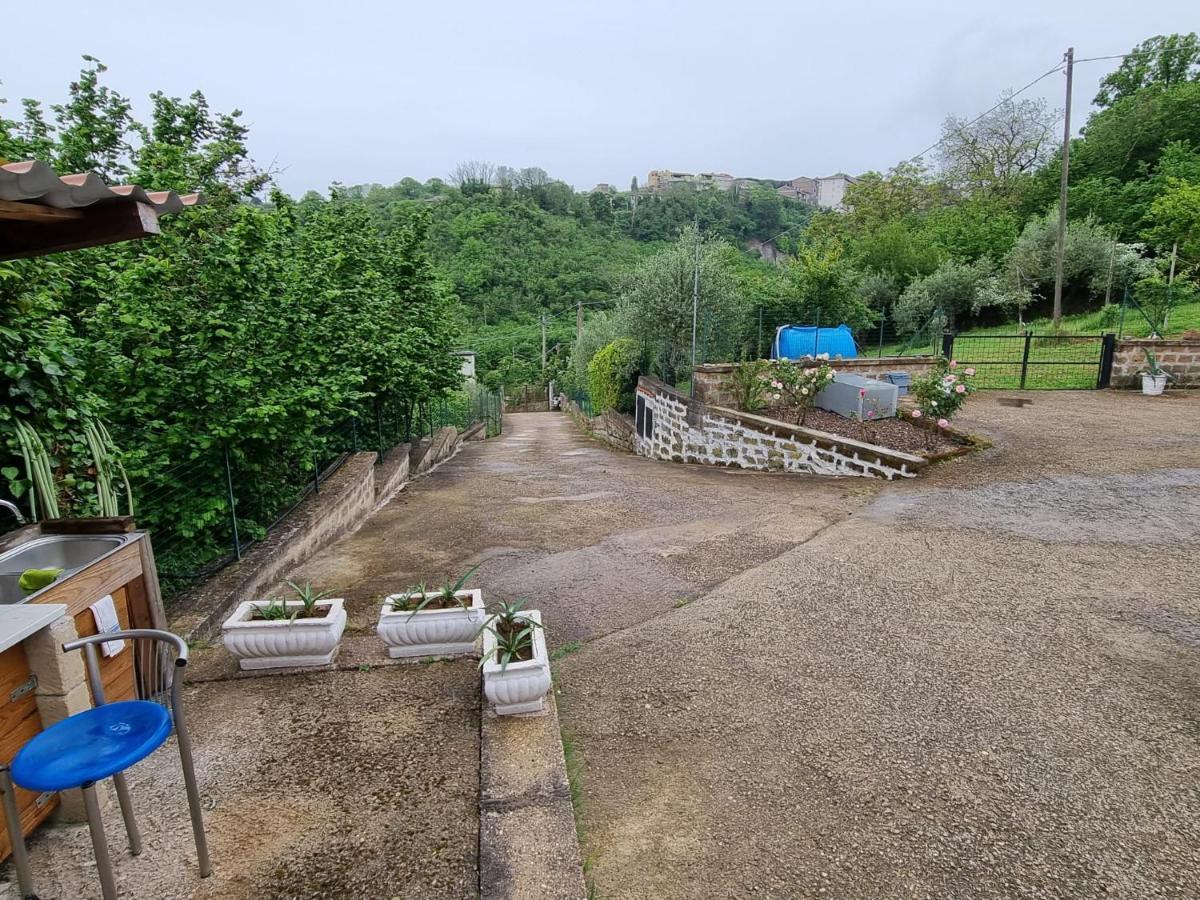 Country House Dolce Nocciola Vignanello Dış mekan fotoğraf