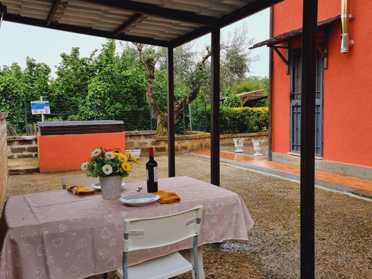 Country House Dolce Nocciola Vignanello Dış mekan fotoğraf